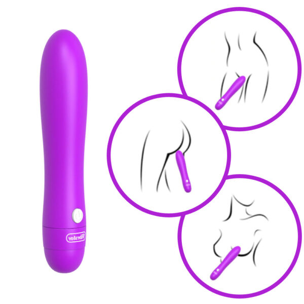Vibex 12 Hızlı Çubuk Vibratör - Görsel 2